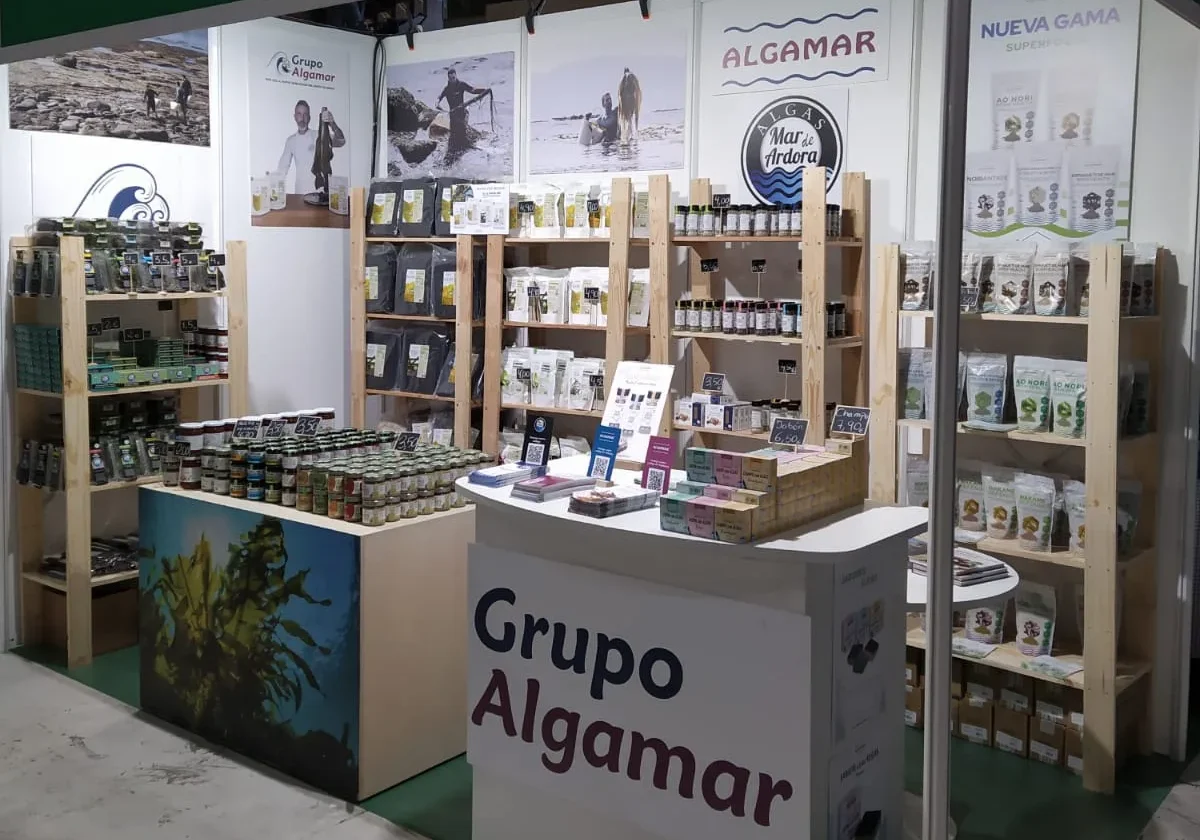 Algas comestibles: qué son